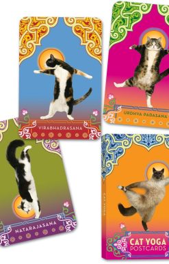 Cat Yoga Postcards: