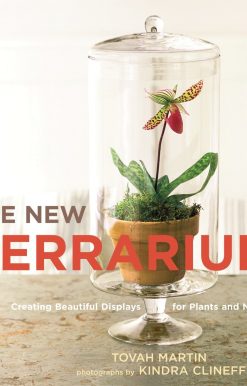 Creating Beautiful Displays for Plants and Nature: The New Terrarium