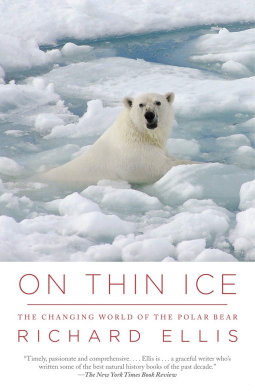 The Changing World of the Polar Bear: On Thin Ice