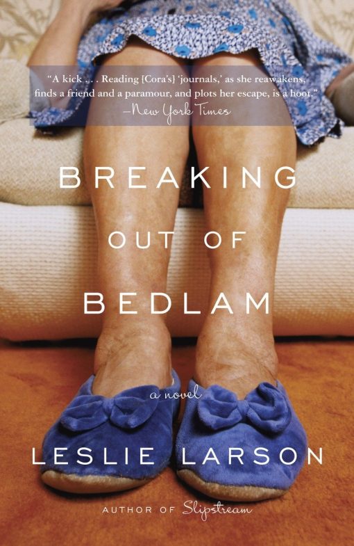 A Novel: Breaking Out of Bedlam