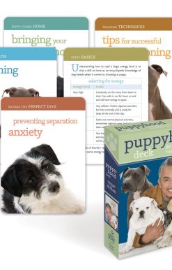 50 Tips for Raising the Perfect Dog: Puppyhood Deck