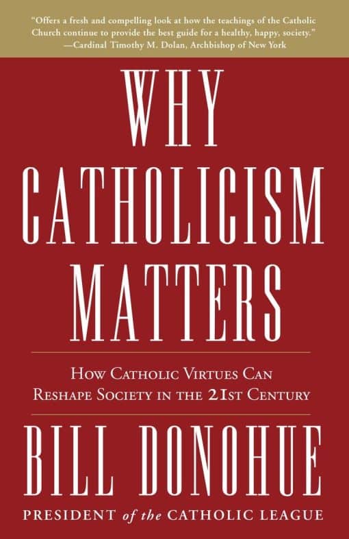 Why Catholicism Matters: How Catholic Virtues Can Reshape Society in the Twenty-First Century