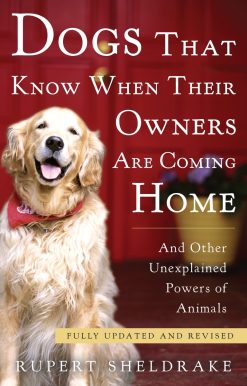 Fully Updated and Revised: Dogs That Know When Their Owners Are Coming Home