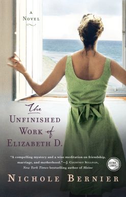 A Novel: The Unfinished Work of Elizabeth D.