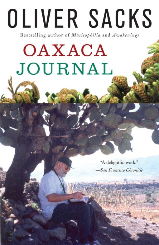 Oaxaca Journal