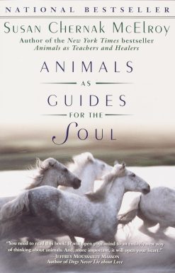 Stories of Life-Changing Encounters: Animals as Guides for the Soul