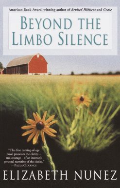 Beyond The Limbo Silence