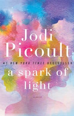 A Spark of Light: A Novel