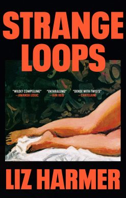 A Novel: Strange Loops