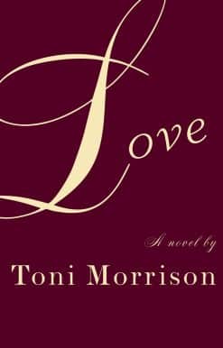 Love: A novel