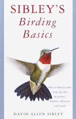Sibley's Birding Basics: How to Identify Birds, Using the Clues in Feathers, Habitats, Behaviors, and Sounds