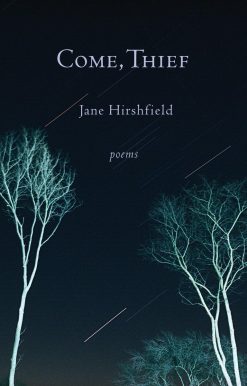 Come, Thief: Poems