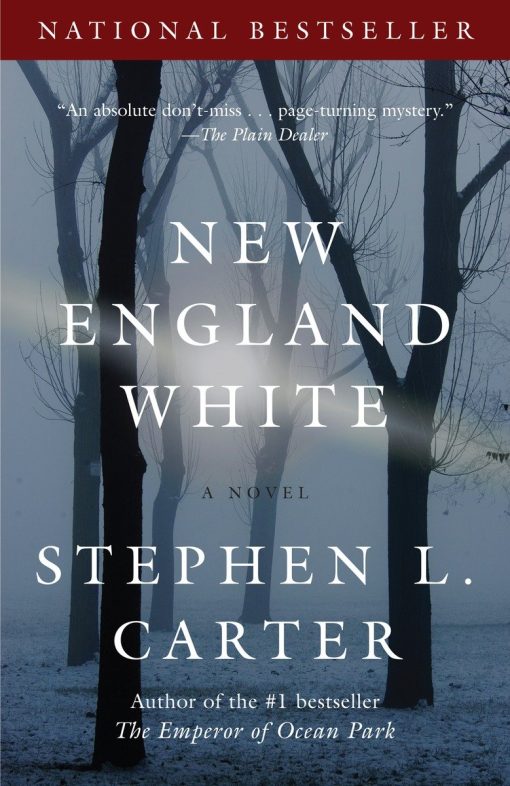 A Novel: New England White