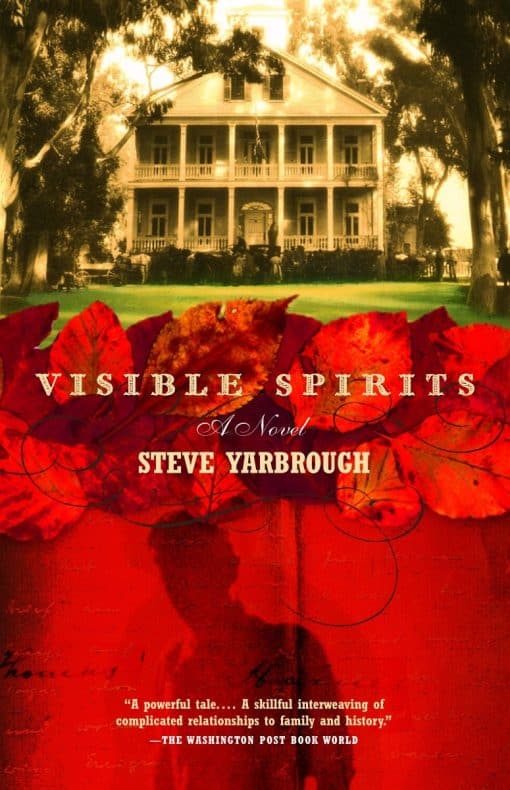 Visible Spirits: A Novel