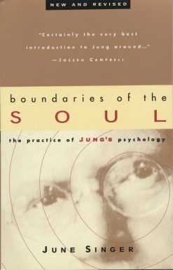 Boundaries of the Soul: The Practice of Jung's Psychology