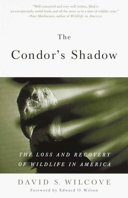 The Condor's Shadow: The Loss and Recovery of Wildlife in America