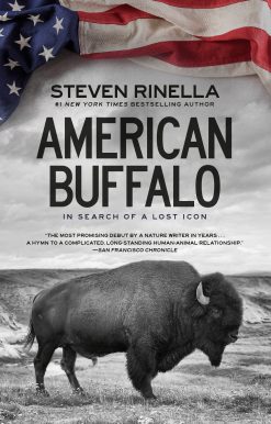In Search of a Lost Icon: American Buffalo