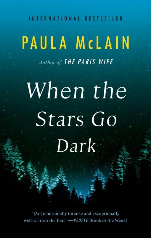 When the Stars Go Dark: A Novel