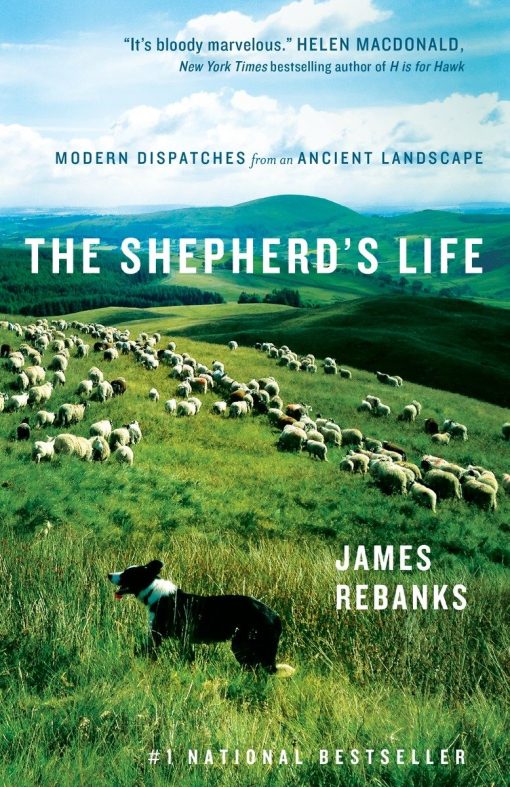 The Shepherd's Life: Modern Dispatches from an Ancient Landscape