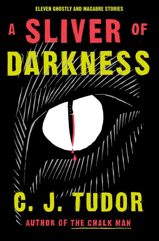 A Sliver of Darkness: Stories