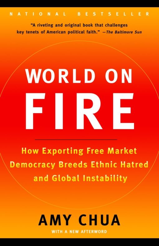 How Exporting Free Market Democracy Breeds Ethnic Hatred and Global Instability: World on Fire