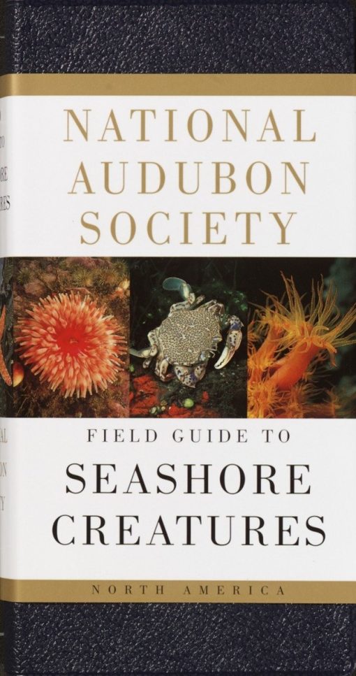 North America: National Audubon Society Field Guide to Seashore Creatures