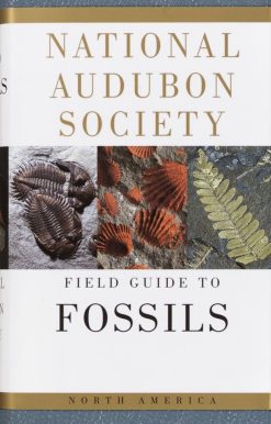 National Audubon Society Field Guide to Fossils: North America