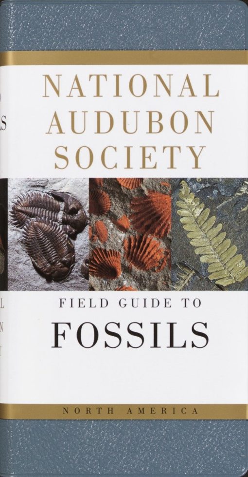 National Audubon Society Field Guide to Fossils: North America