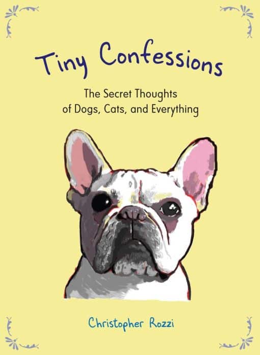 The Secret Thoughts of Dogs, Cats and Everything: Tiny Confessions