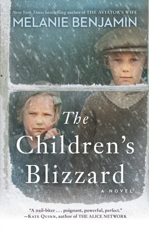 A Novel: The Children's Blizzard