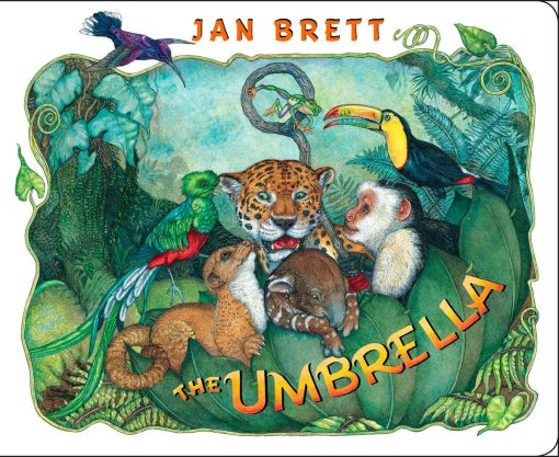 board book: The Umbrella