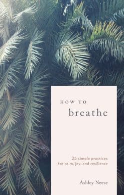How to Breathe: 25 Simple Practices for Calm, Joy, and Resilience