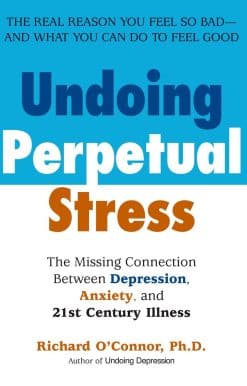 Undoing Perpetual Stress: The Missing Connection Between Depression, Anxiety and 21stCentury Illness