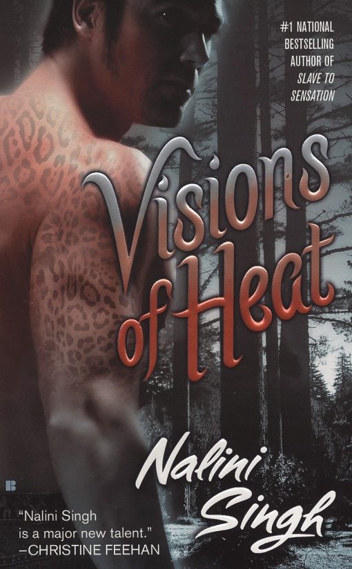 Visions of Heat: