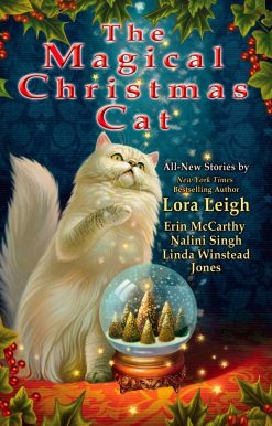The Magical Christmas Cat