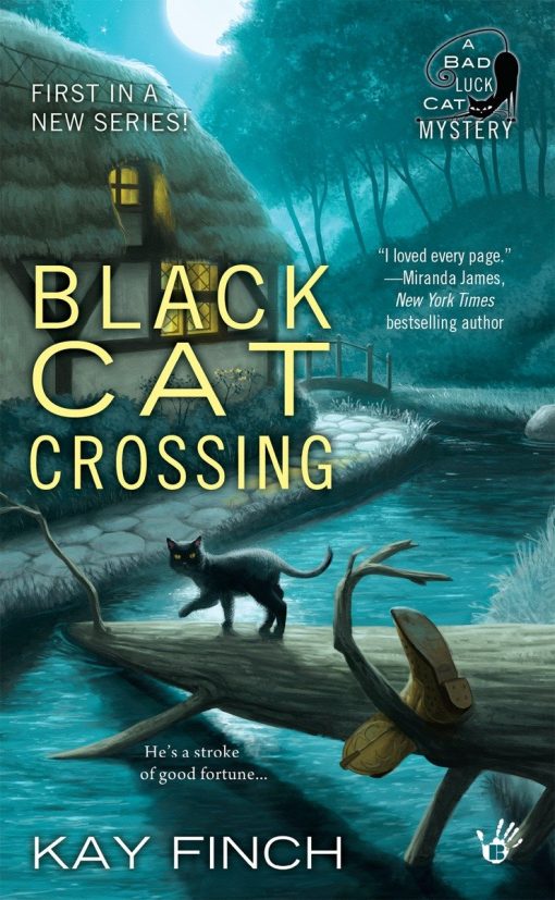 Black Cat Crossing: