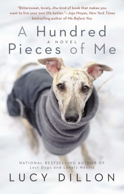 A Hundred Pieces of Me