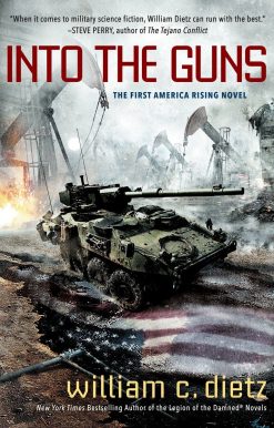 Into the Guns