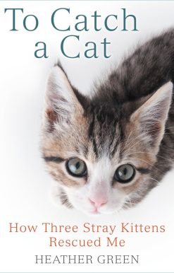 How Three Stray Kittens Rescued Me: To Catch a Cat