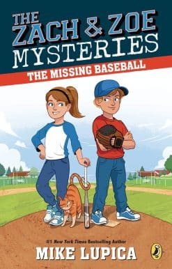 The Missing Baseball
