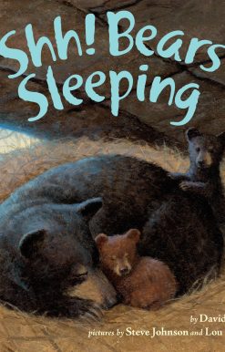 Shh! Bears Sleeping