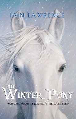 The Winter Pony
