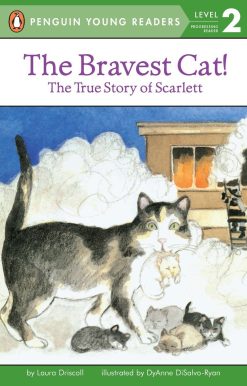 The Bravest Cat!