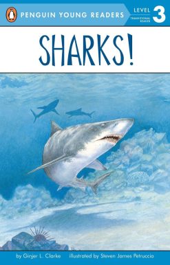 Sharks!