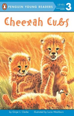 Cheetah Cubs