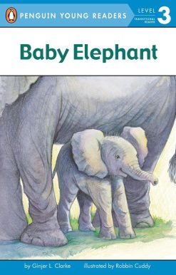 Baby Elephant