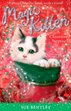 A Christmas Surprise