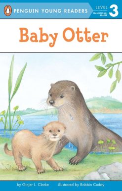 Baby Otter