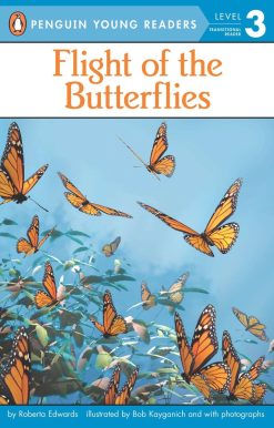 Flight of the Butterflies