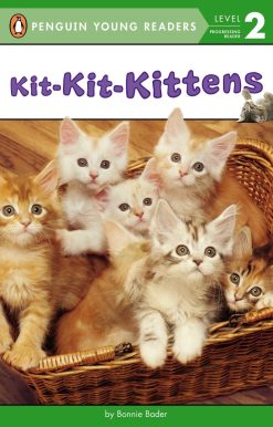 Kit-Kit-Kittens